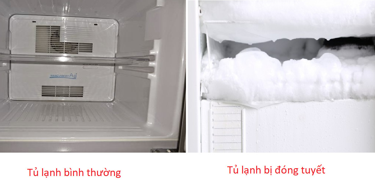 ưu điểm tủ lạnh không đóng tuyết